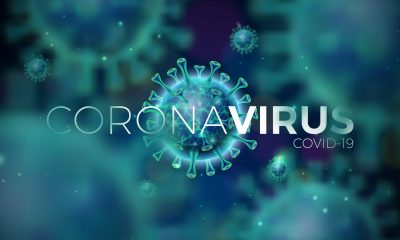 COVID-19: A Crash Course in Long-Term Immunity