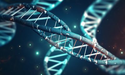 Recipes Personalized to Your Genetic Makeup