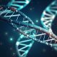 Recipes Personalized to Your Genetic Makeup