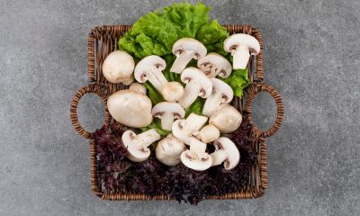 Mushrooms as Medicine: Exploring the Magic of Functional Fungi