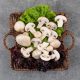 Mushrooms as Medicine: Exploring the Magic of Functional Fungi